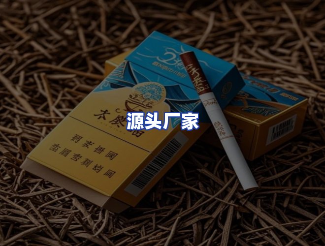 专业团队